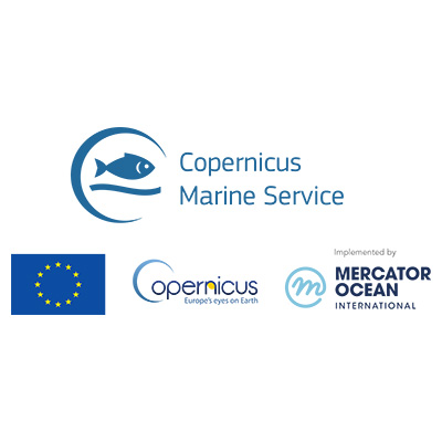 Copernicus Marine Service logo